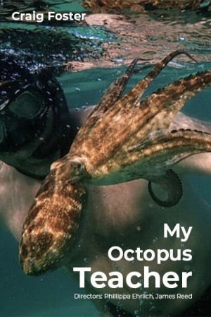 Мой учитель-осьминог бесплатно